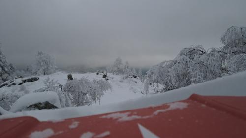 DJI_2322.JPG